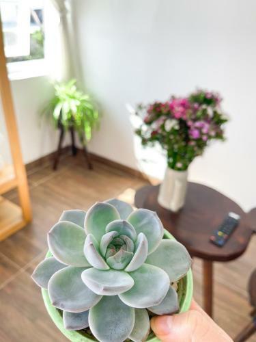 Hostal Selena Dalat Homestay