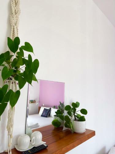 Hostal Selena Dalat Homestay