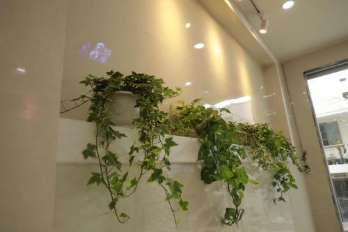 Ves - Pa Luxury Hotel