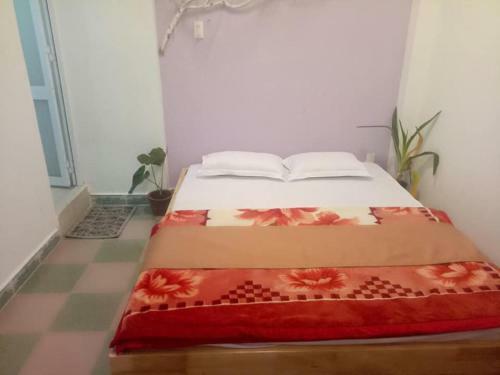 Hotel Homestay Dia Du
