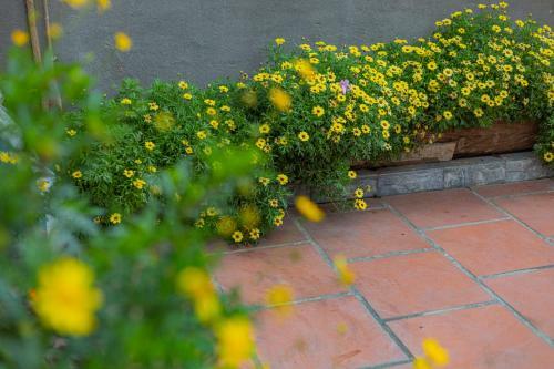 Maymimi Villa Hotel In Dalat