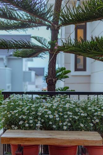 Maymimi Villa Hotel In Dalat