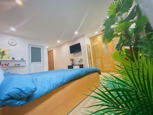 Bb Homestay