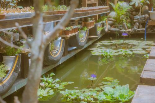 Hostal G? Th�ng Homestay