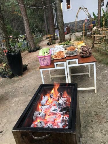 Village Hoa H�?ng