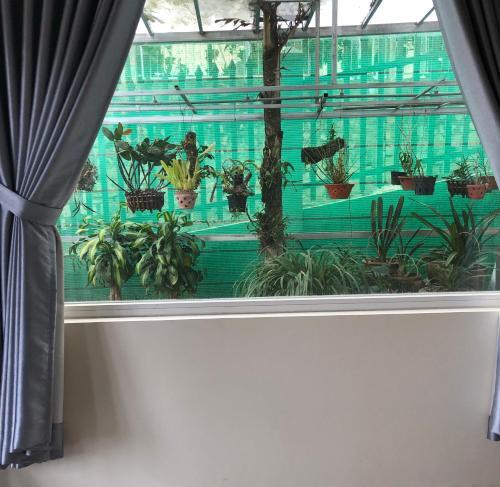 Apartamento M??i L?i Homestay