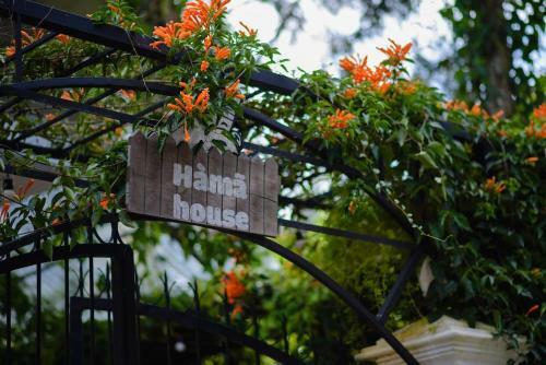 Villa H� M� House ?� L?t - Venue Travel