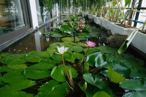 Apartamento Lotushomestayhanoi - Pagoda View 2