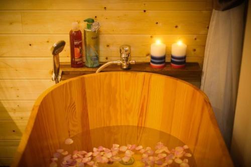 Apartamento Lotushomestayhanoi - Pagoda View 2