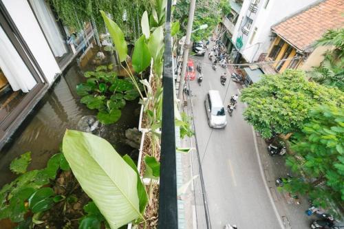 Apartamento Lotushomestayhanoi - Pagoda View 2