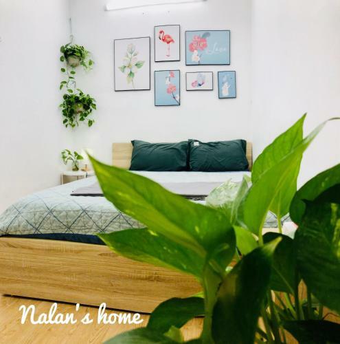 Hostal Nalan's Home 6
