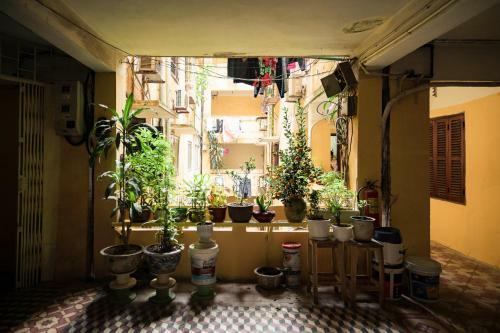 Apartamento Lotushomestayhanoi - Wood & White