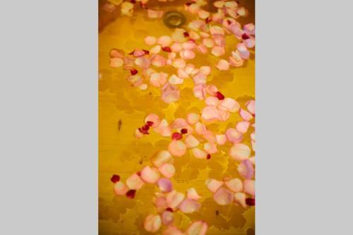 Apartamento Lotushomestayhanoi - Pagoda View 1