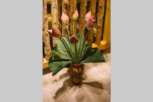 Apartamento Lotushomestayhanoi - Pagoda View 1