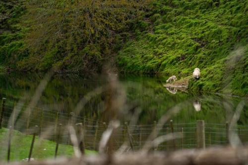 Agroturismo Mahaanui Quarters Farmstay