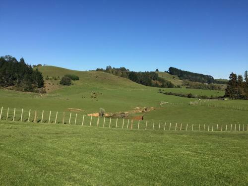 Hostal Veld View Bed And Breakfast