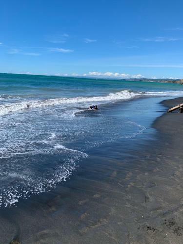 Urenui Beach Bach