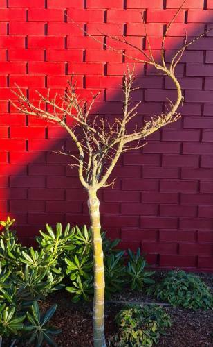 Hostal Tilvery - Boutique Accommodation