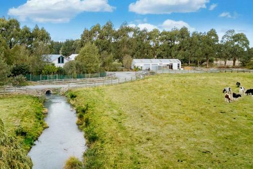 Apartamento Farm Retreat B&B
