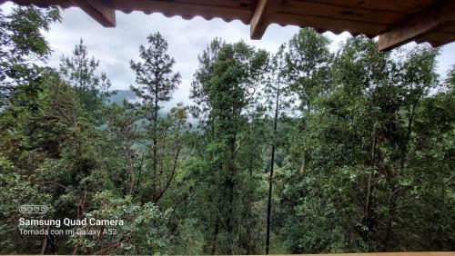 Caba�a En El Bosque De San Jos� Del Pac�fico