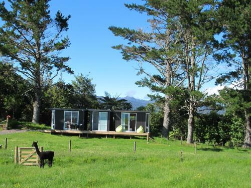 Hostal Waihi Gold Alpacas 3 Or 4 People