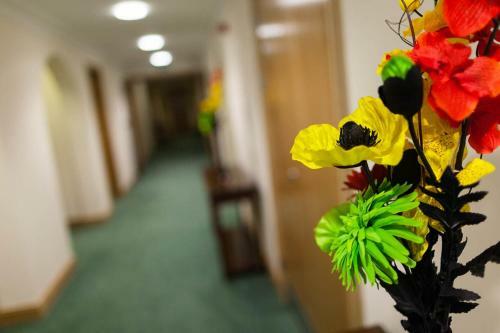 Hostal Woodland House Hotel