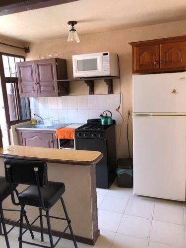 Casa Monarca ?mi Hogar En Zit�cuaro?