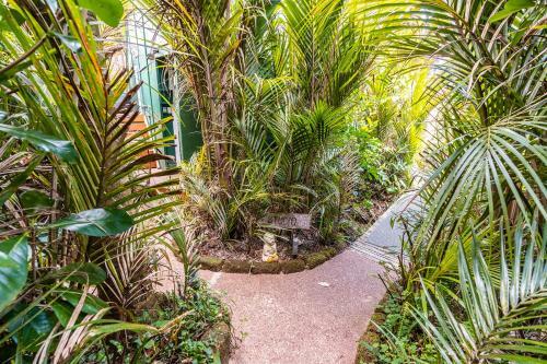 Boho Hill Waiheke Island