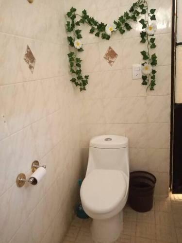 Casa Puerto Vallarta Ideal Para Ti