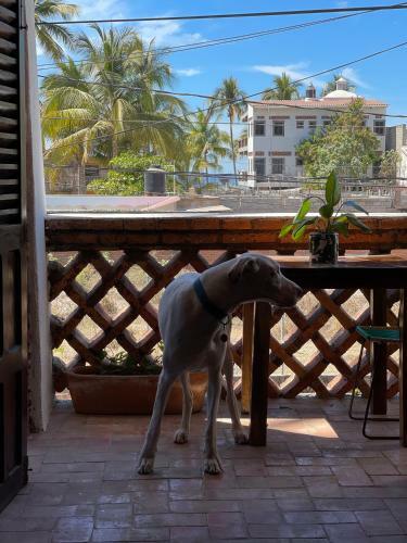 Posada Hosteria Chata Adults Only