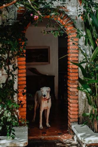 Posada Hosteria Chata Adults Only