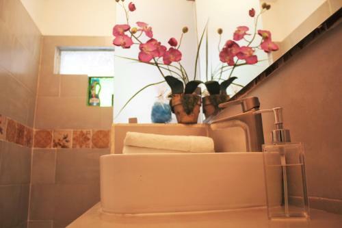 Hotel Del Angel