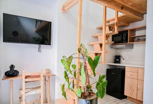 Hotel Casa Kali By Barrio M�xico