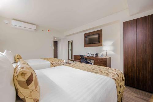 Hotel Sleep Inn Guadalajara Galer�as