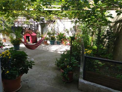 Hostal White House Avtandil&nino
