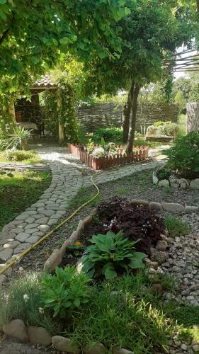 Hostal Guesthouse Cottage