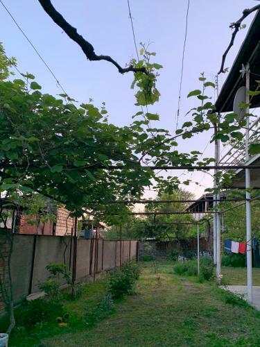 Hostal Keti's House