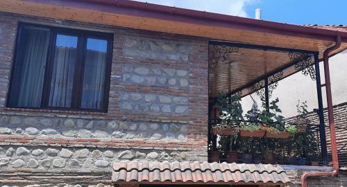 Apartamento Albatrosi 2021