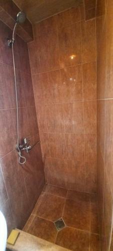 Apartamento Albatrosi 2021