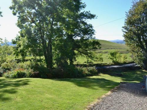 Craigrobin