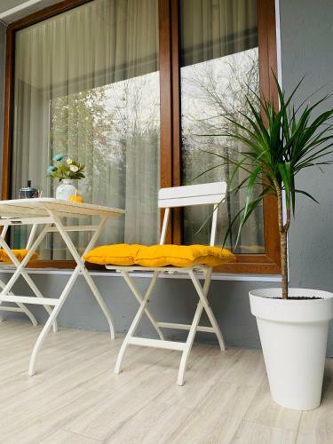 Tekatuka?s Sweet Apartment ?life ?happiness