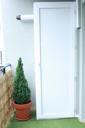 Salounique Lux Apartment