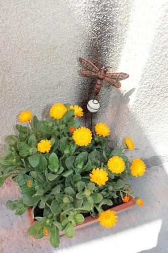 Hostal Easy Guest House