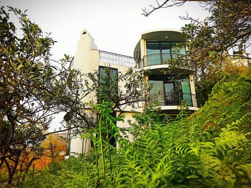 Dream Panorama Villa Batumi