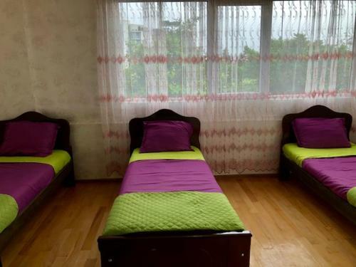 Hostal Mzeos House