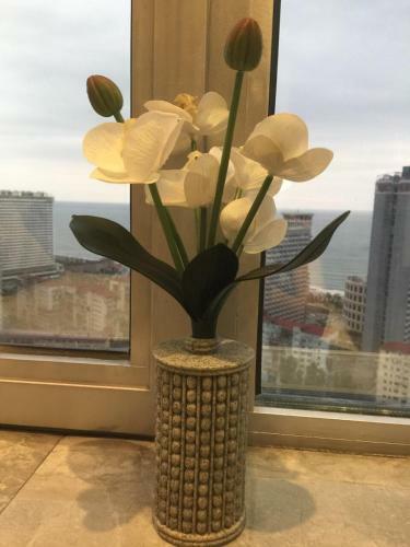Apartments In Yalcin Star Residence