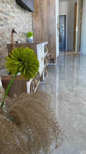 Apartments In Yalcin Star Residence