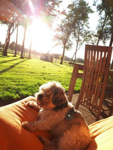 Bed & Breakfast Voorhuis