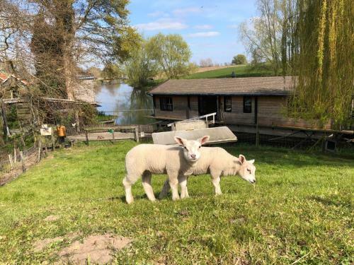 Apartamento Nette Fijne 2 Persoons Studio Met Jacuzzi " De Toffe Peer "