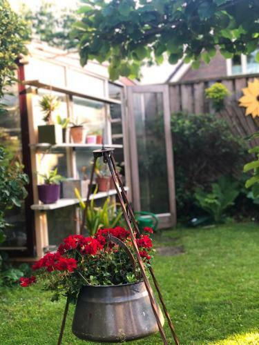 B&B Overnachting De Margriet
